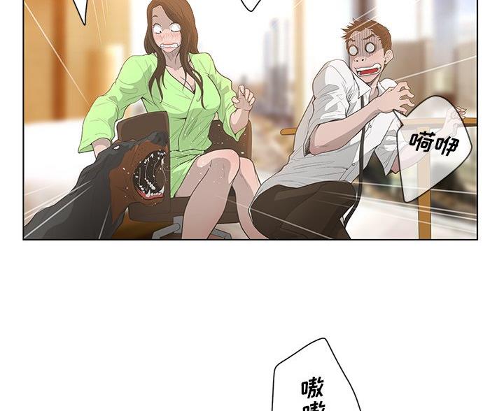 27.jpg