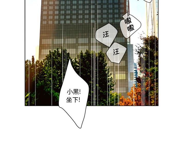 85.jpg