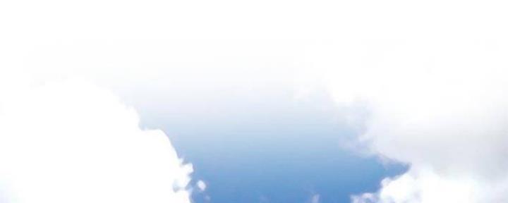 90.jpg