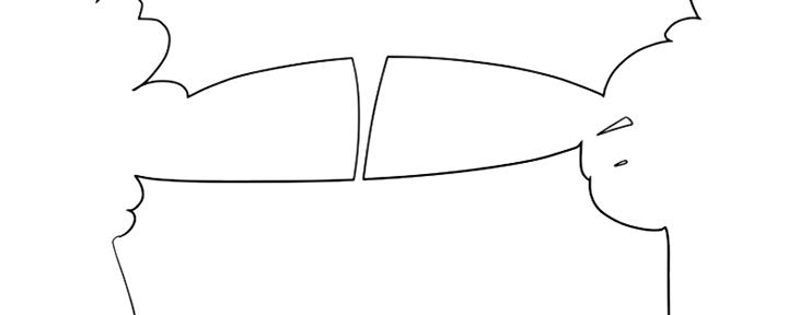 100.jpg