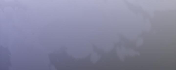 66.jpg