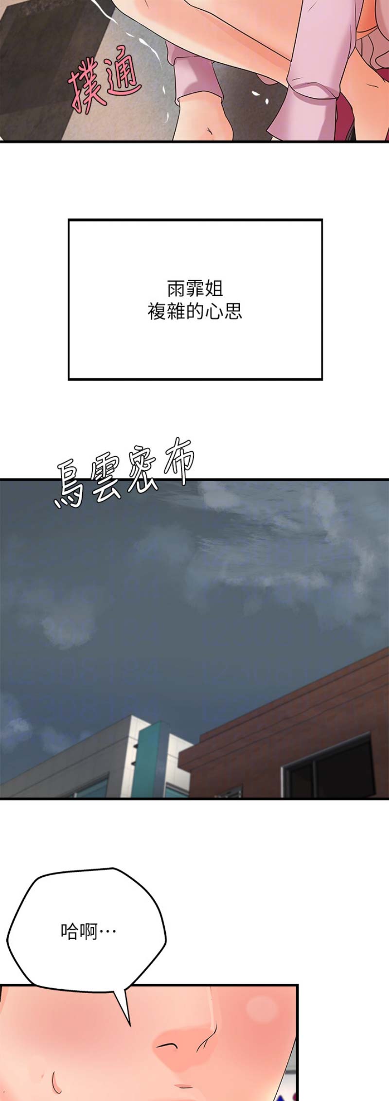 12.jpg