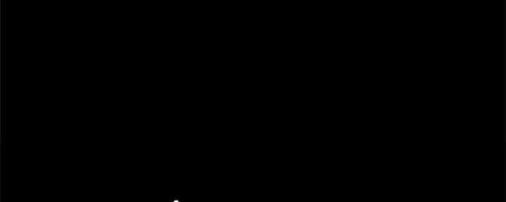 299.jpg