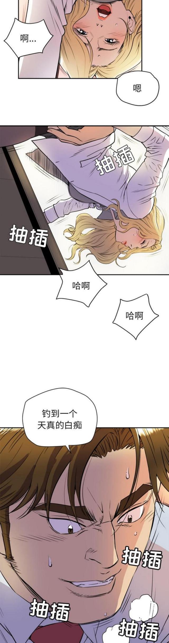 11.jpg