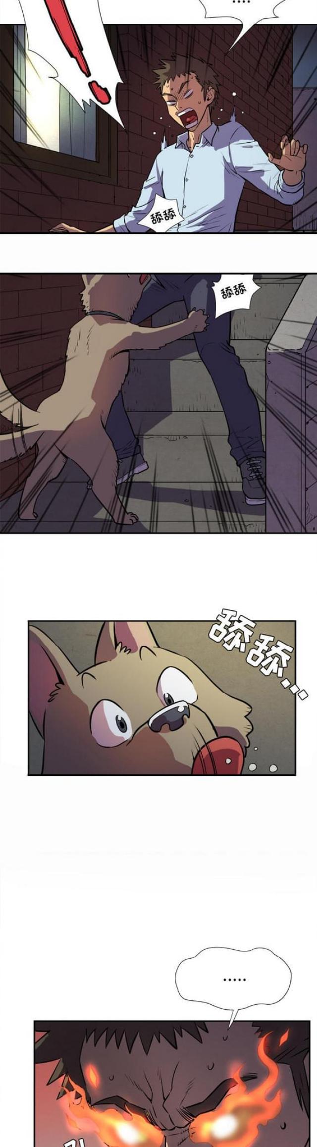 9.jpg