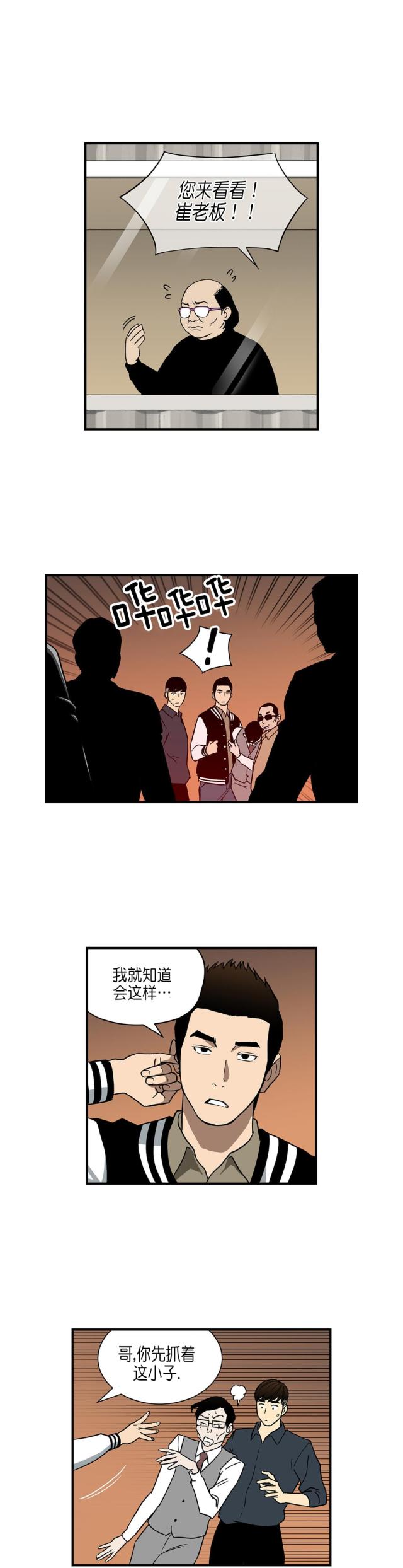 8.jpg