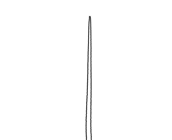 60.jpg