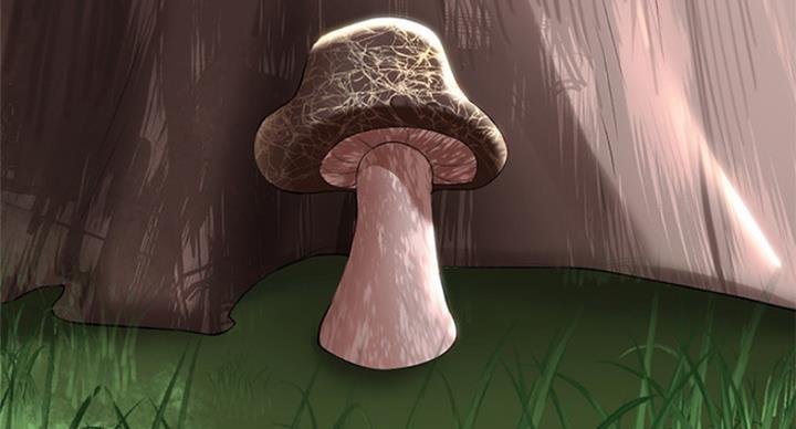 68.jpg