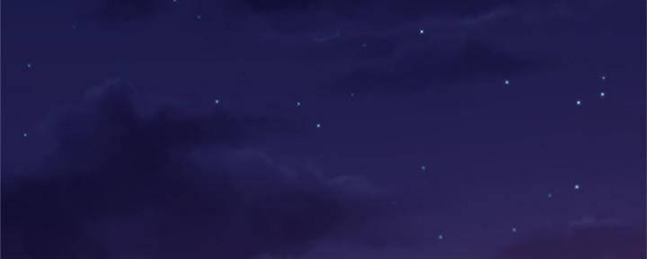 113.jpg