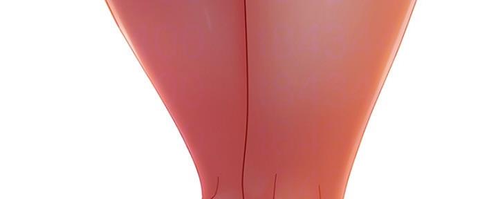 85.jpg