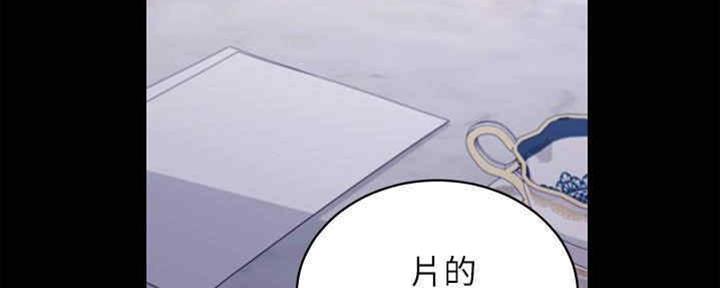 100.jpg