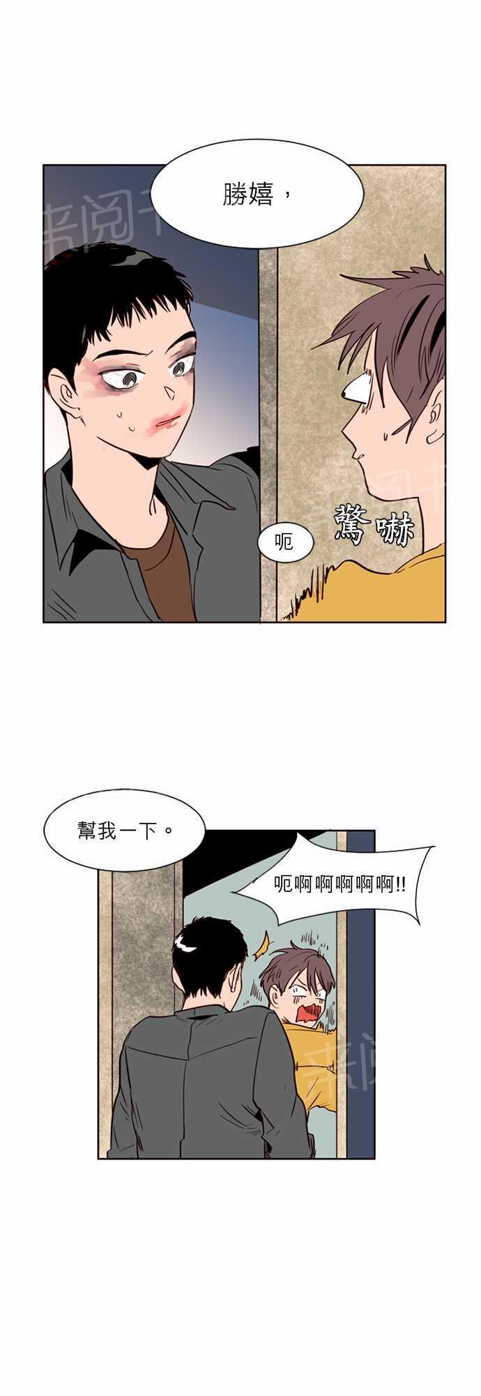 11.jpg