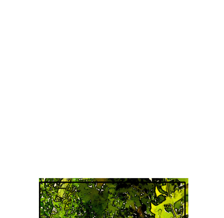 88.jpg