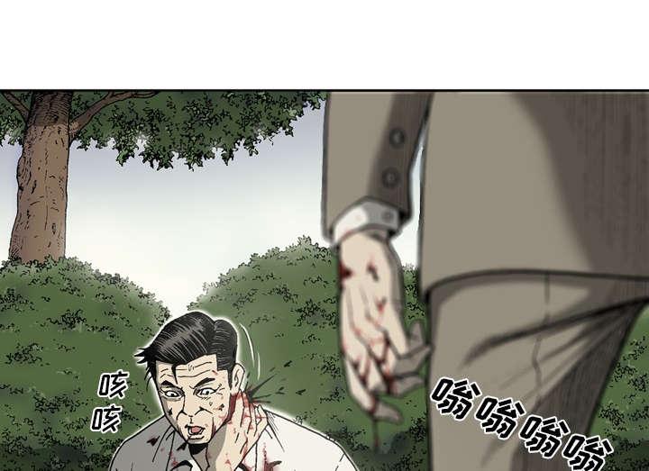 28.jpg
