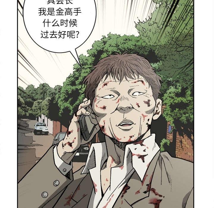 43.jpg