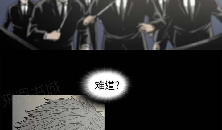 43.jpg