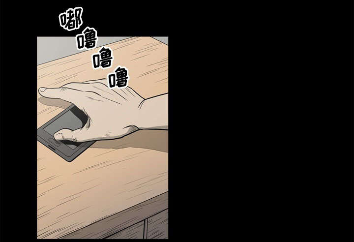 41.jpg