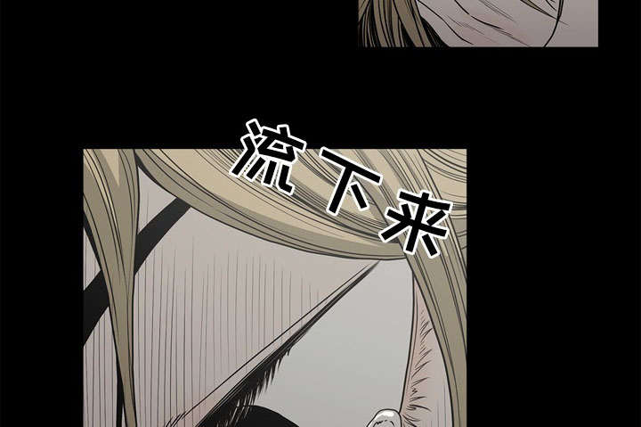 47.jpg