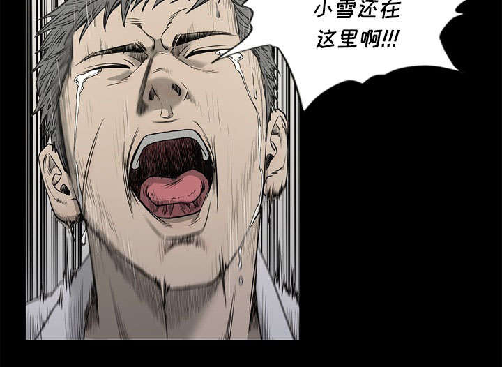47.jpg