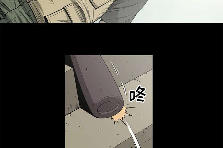 55.jpg