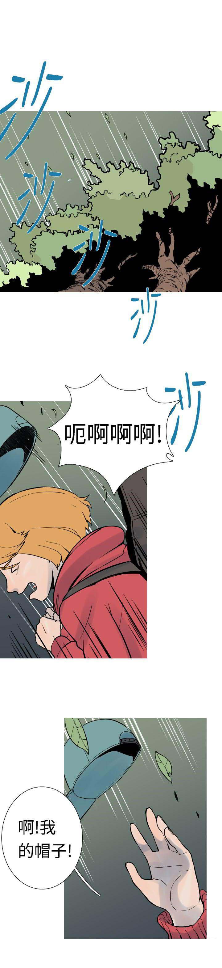 8.jpg