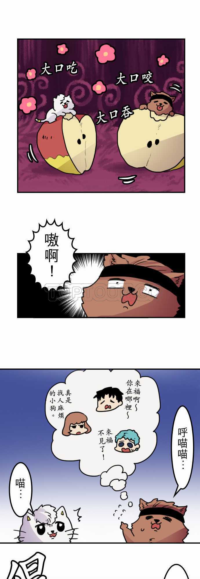 6.jpg