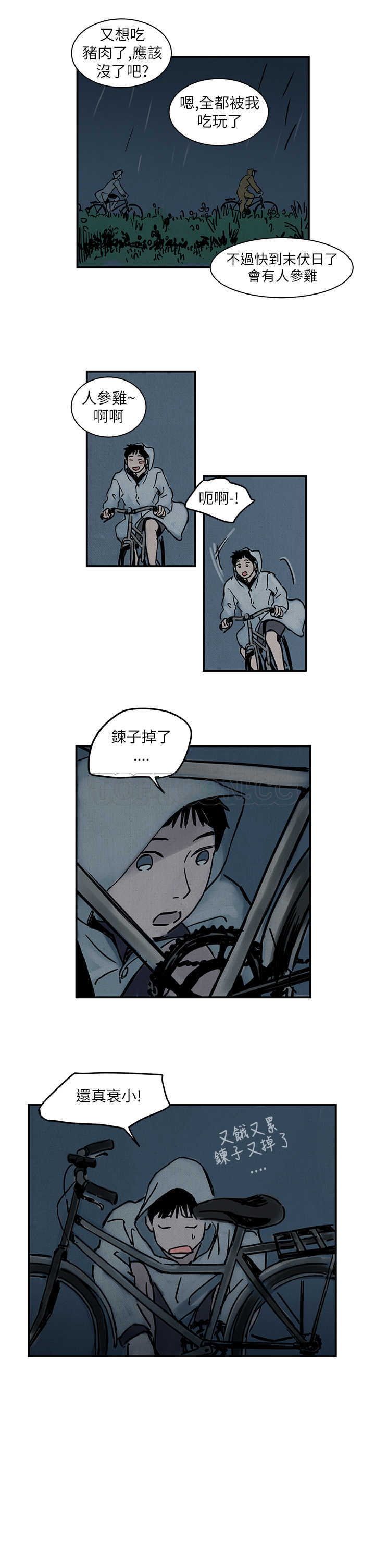 5.jpg