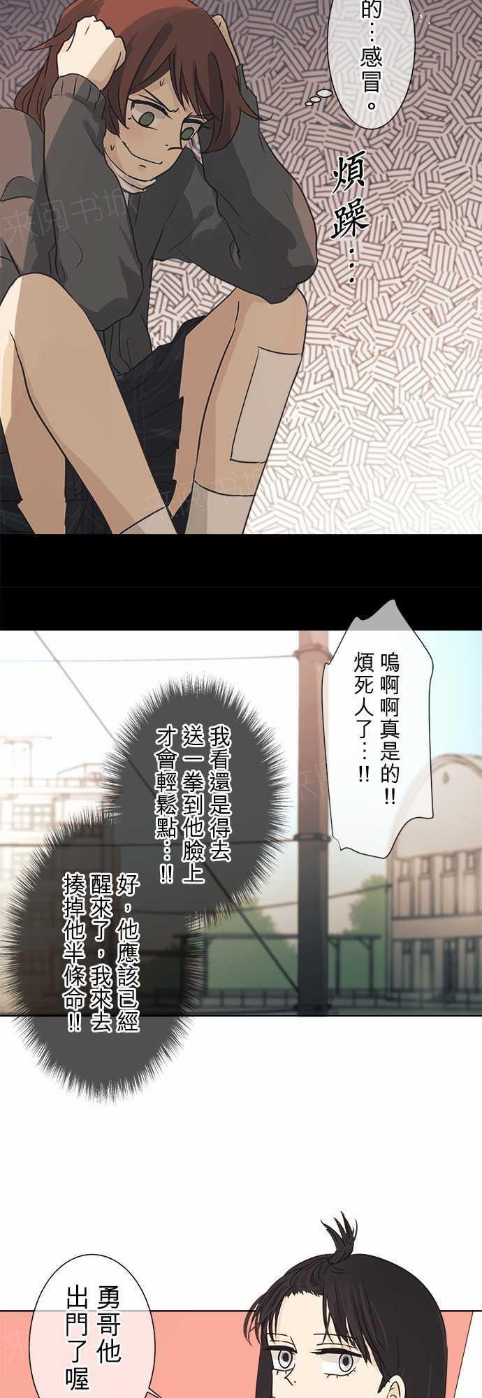 13.jpg