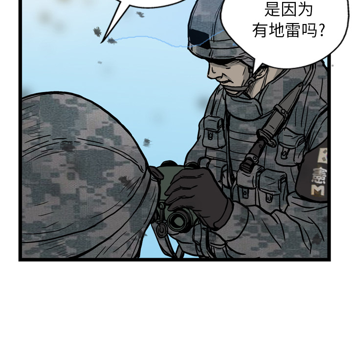 47.jpg