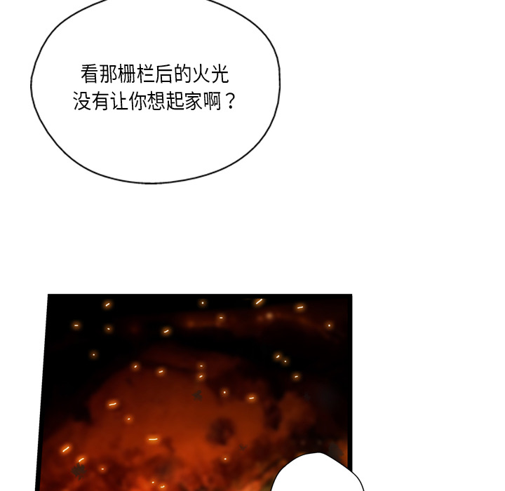 97.jpg