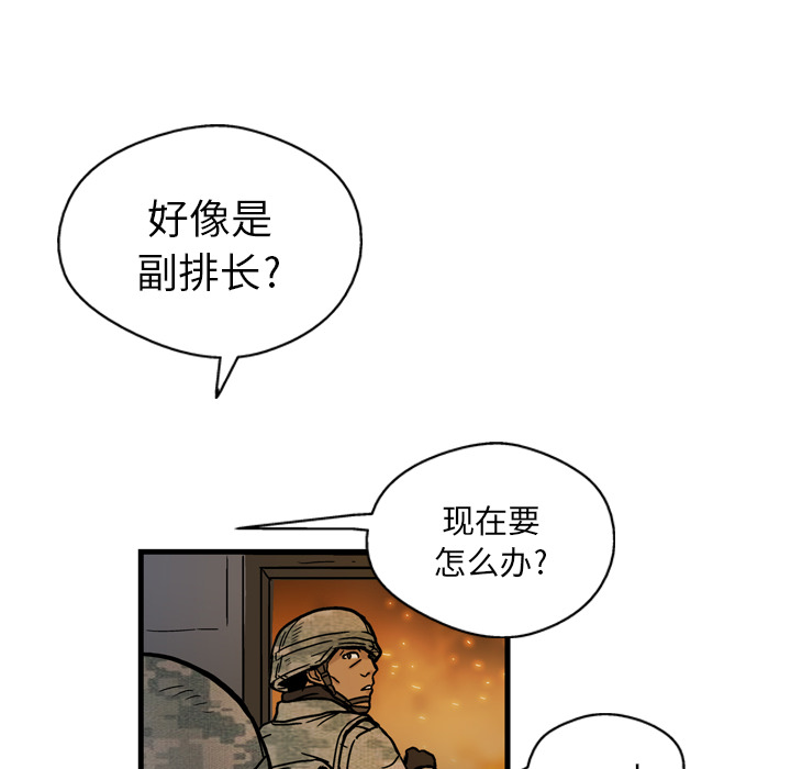 133.jpg