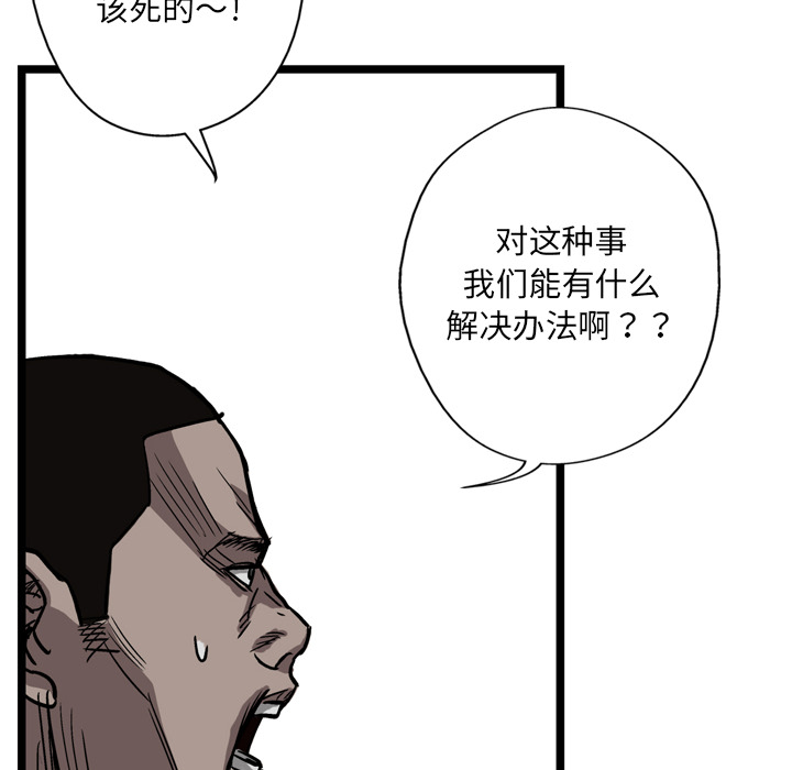 133.jpg