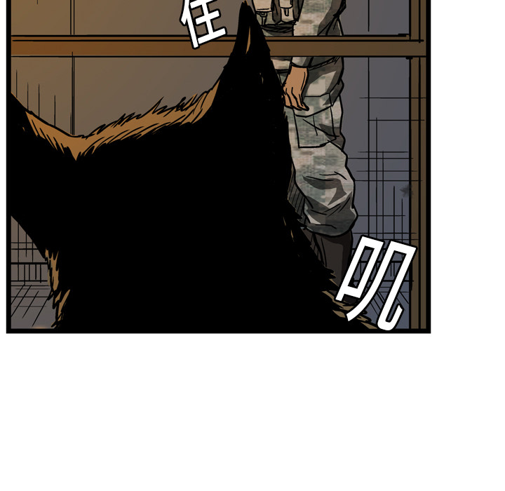 54.jpg