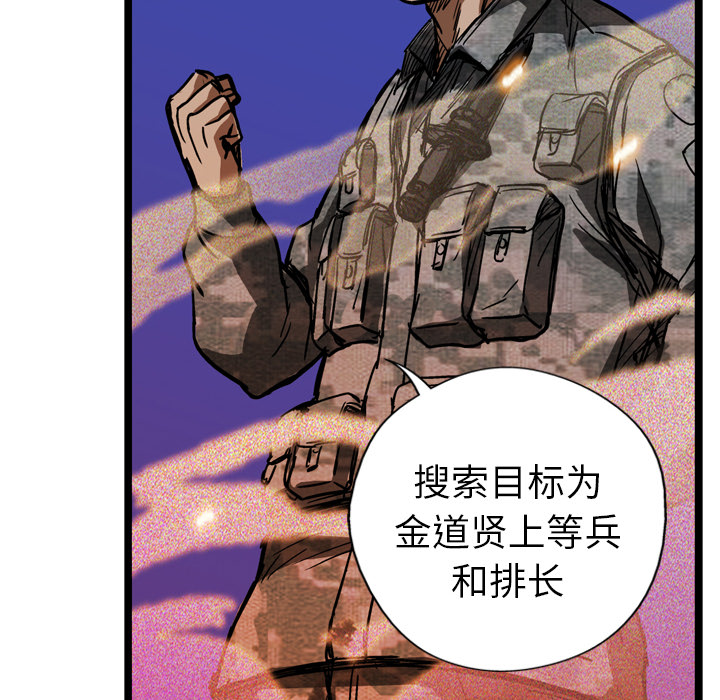 96.jpg