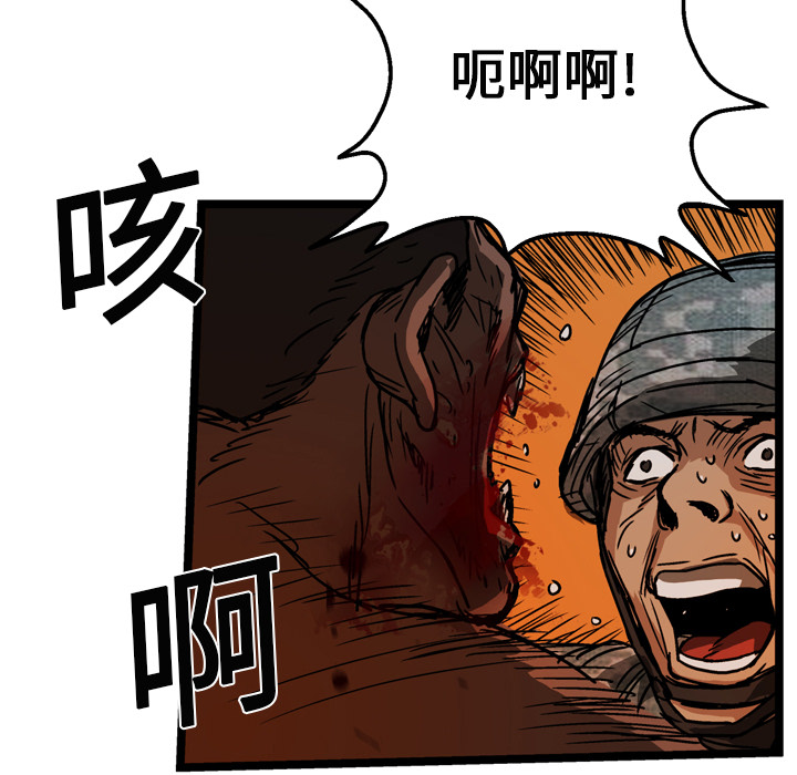 50.jpg