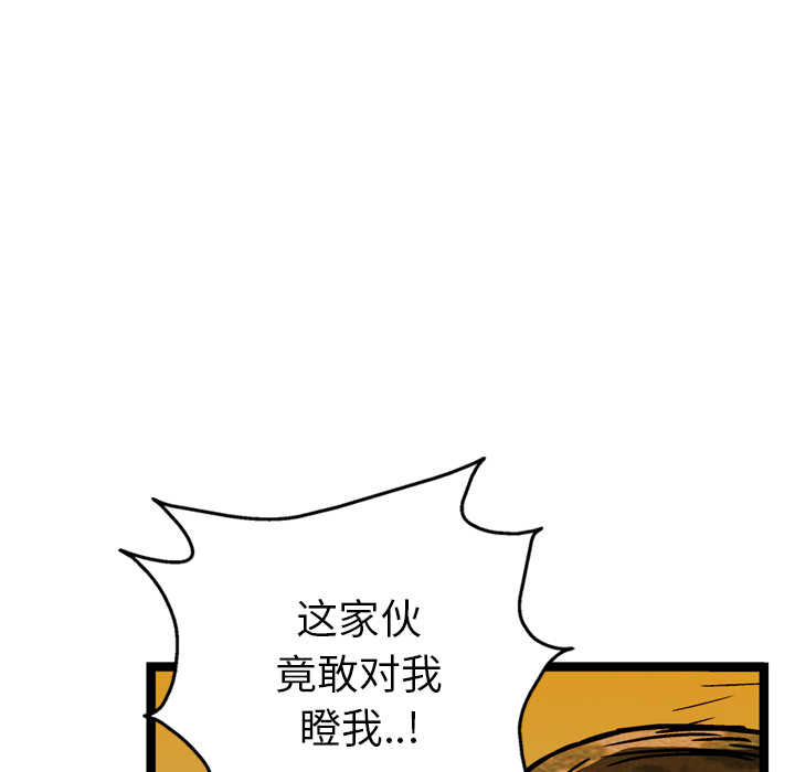 97.jpg