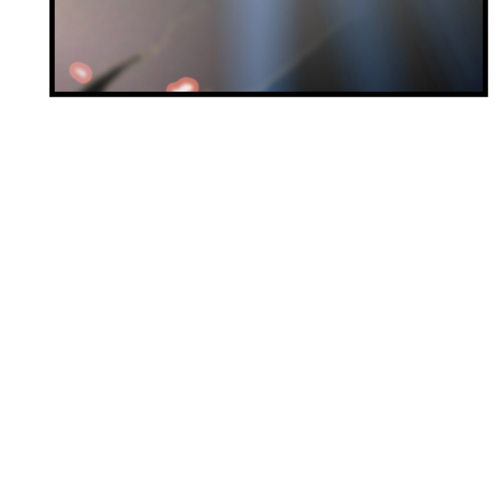 96.jpg