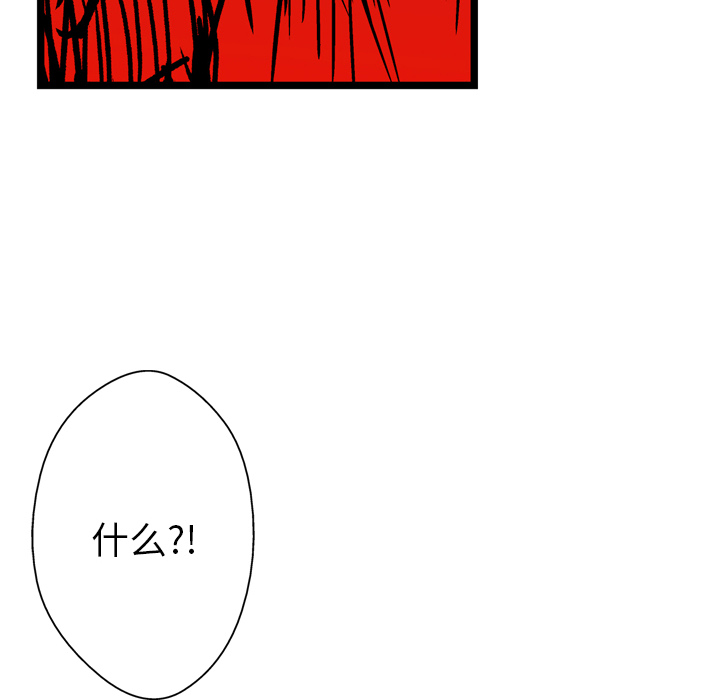 95.jpg