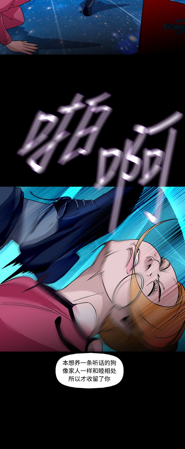 21.jpg