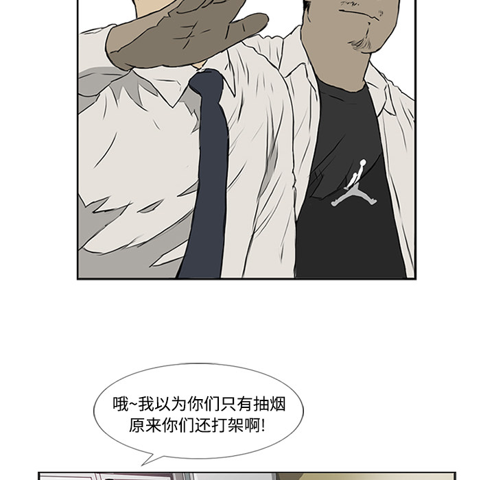 41.jpg