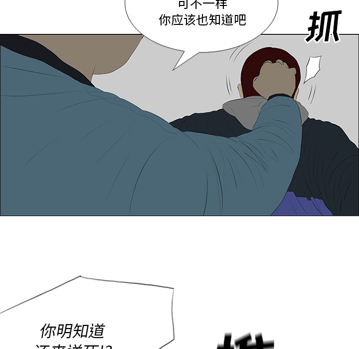 84.jpg