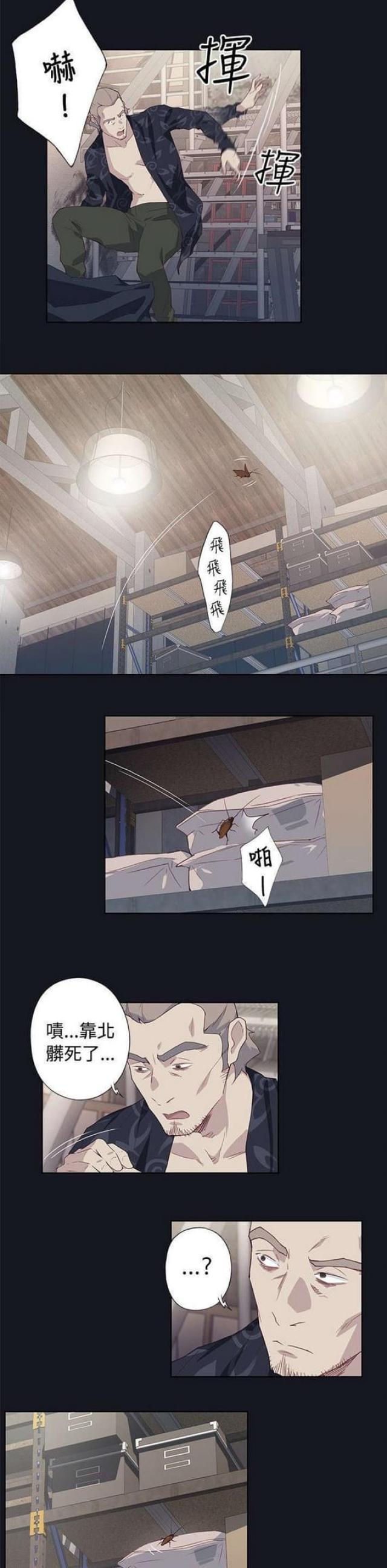 2.jpg