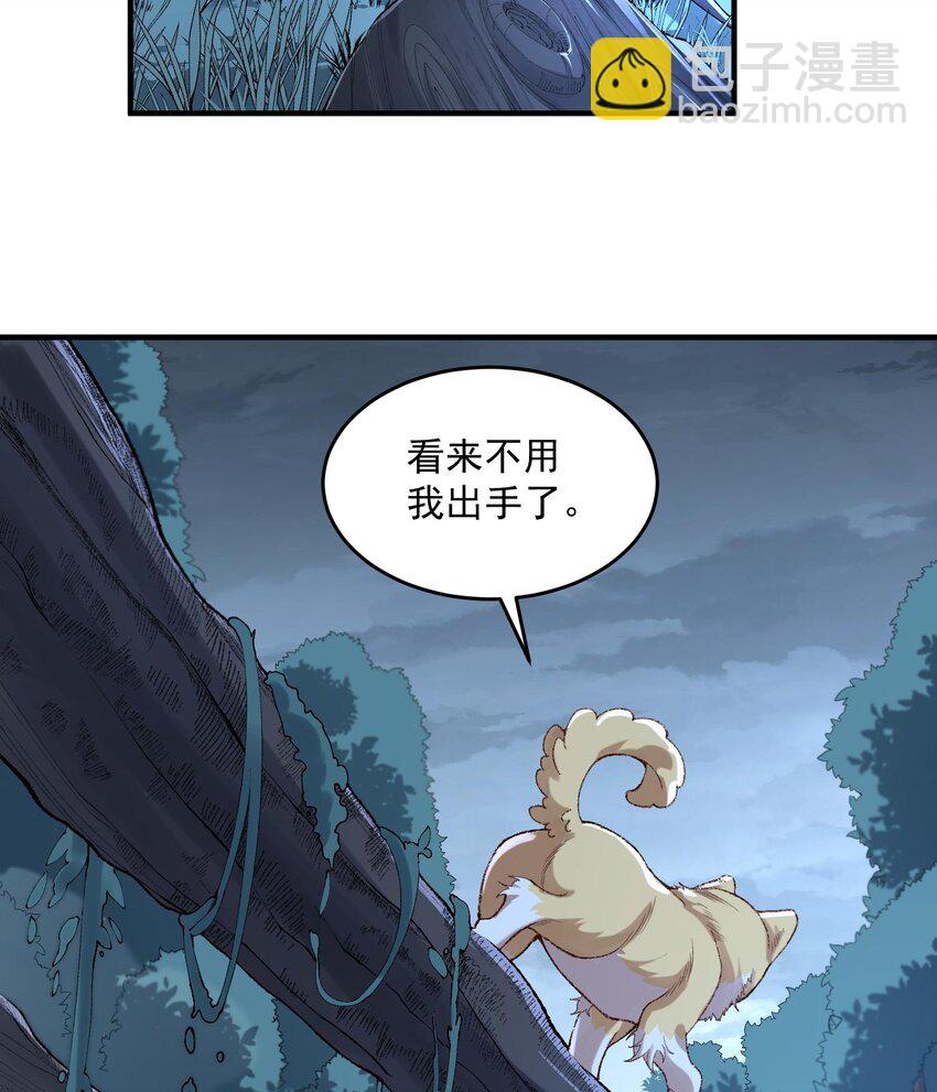 31.jpg