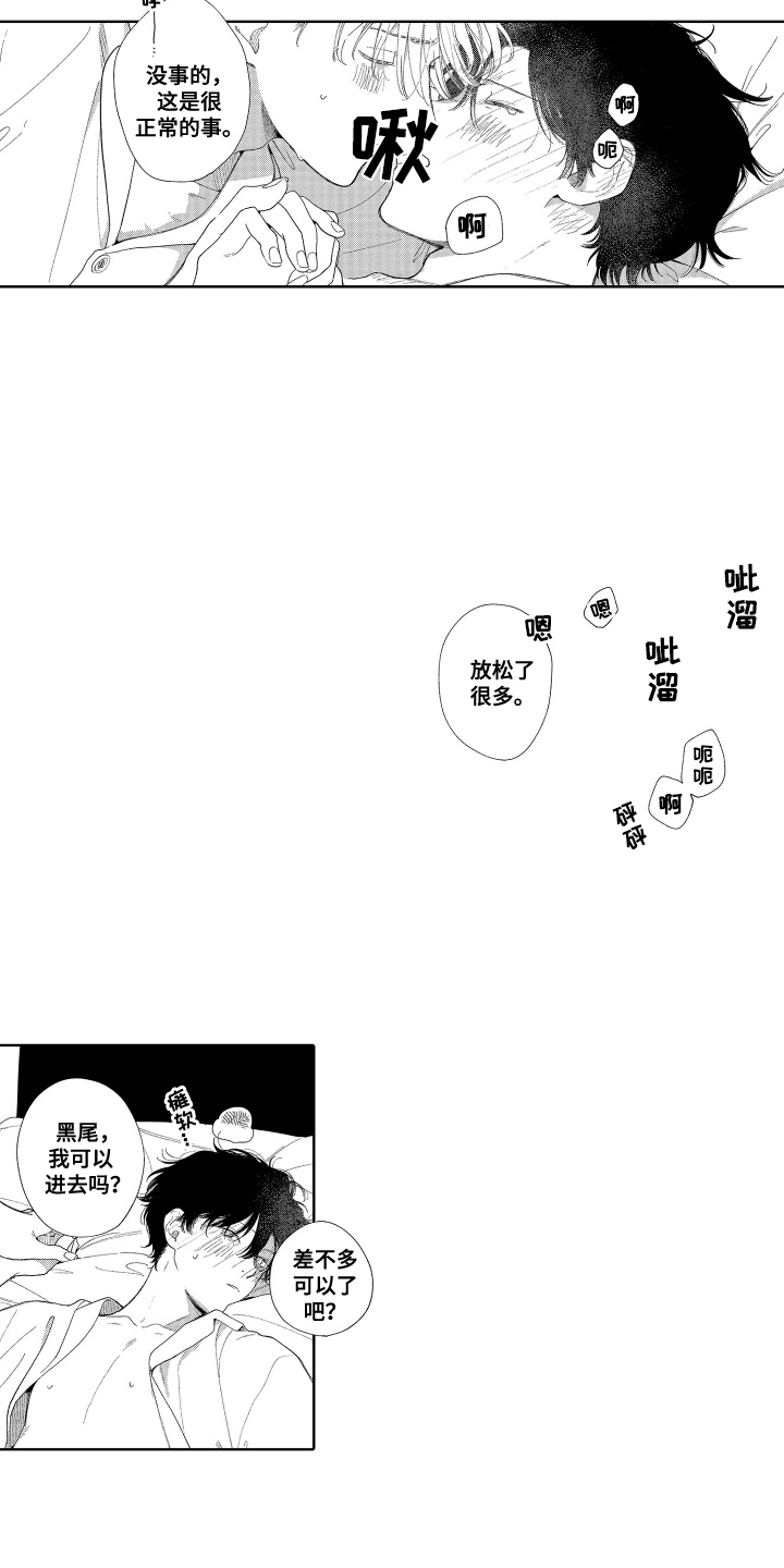 11.jpg