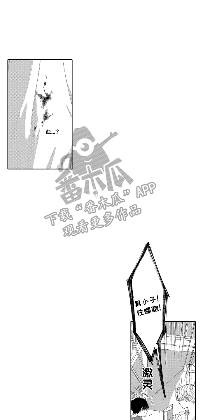 14.jpg