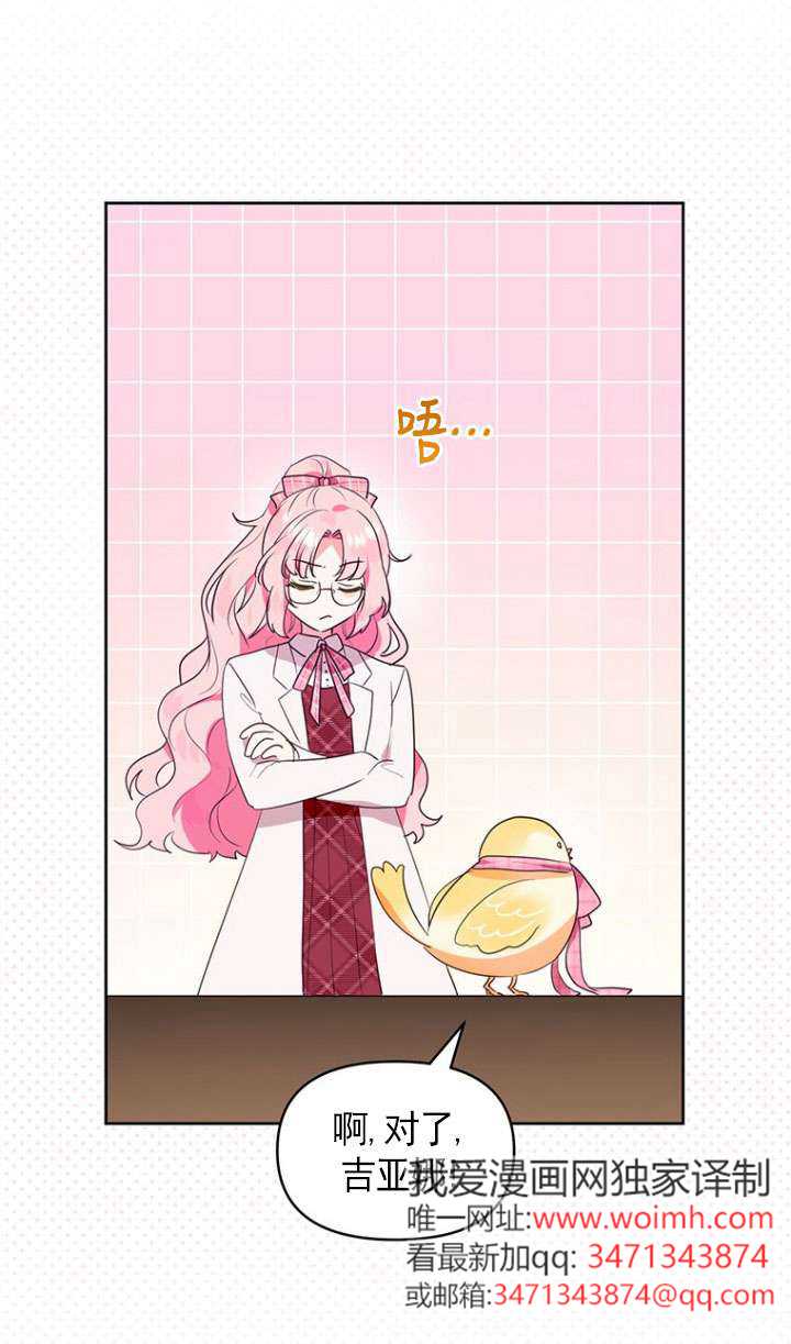 41.jpg
