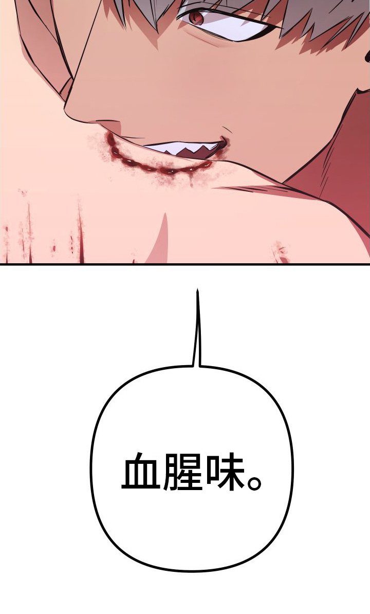 19.jpg
