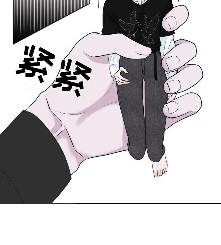 21.jpg