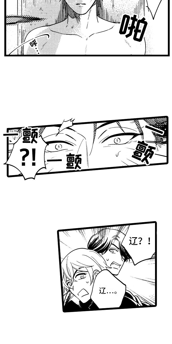 15.jpg