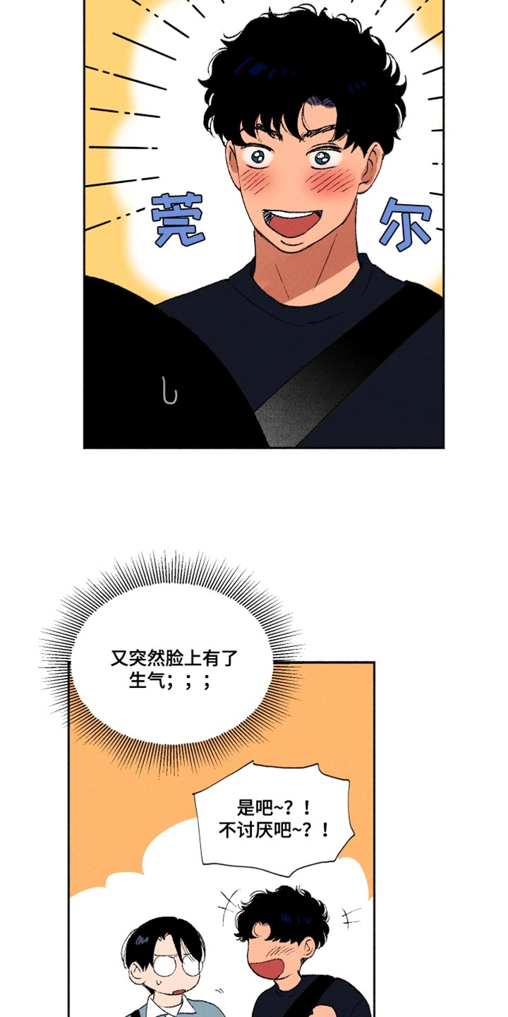 11.jpg